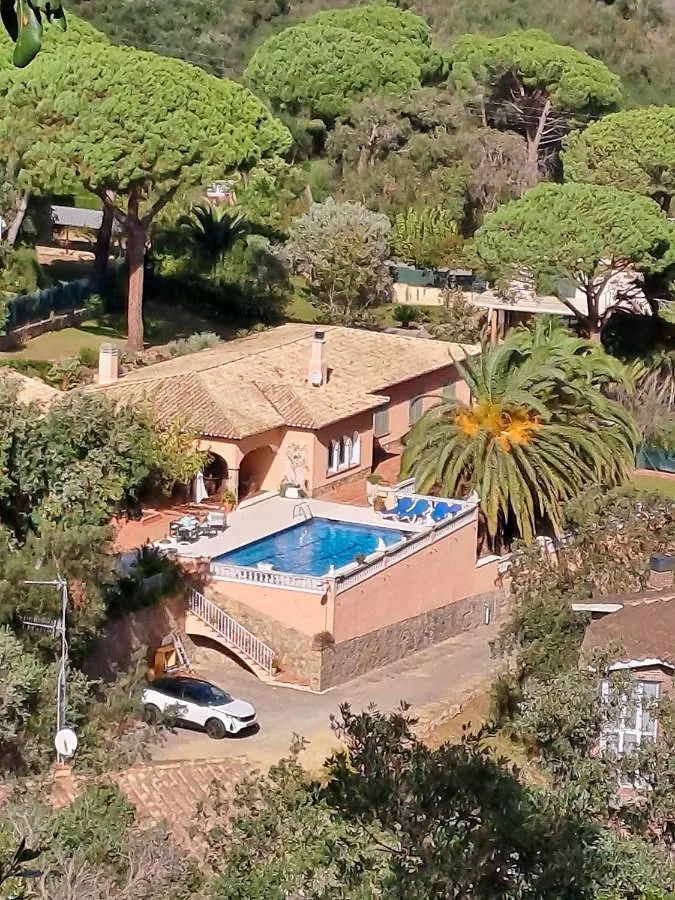 הוילה פלטחה ד'ארו La Casa Celestial ספרד